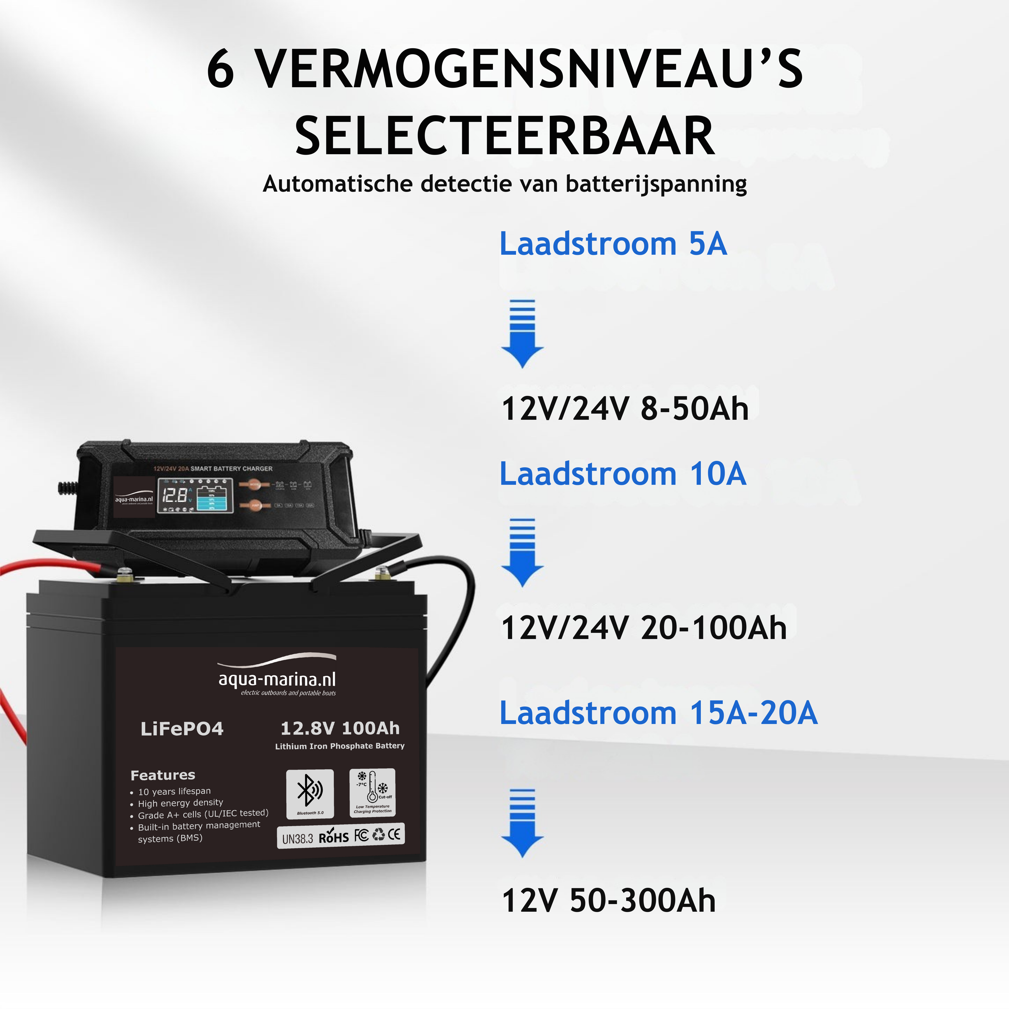 Complete Vaarset 100lbs 24V – Fluistermotor + 2x LiFePO4 Accu + Acculader | Direct Varen!