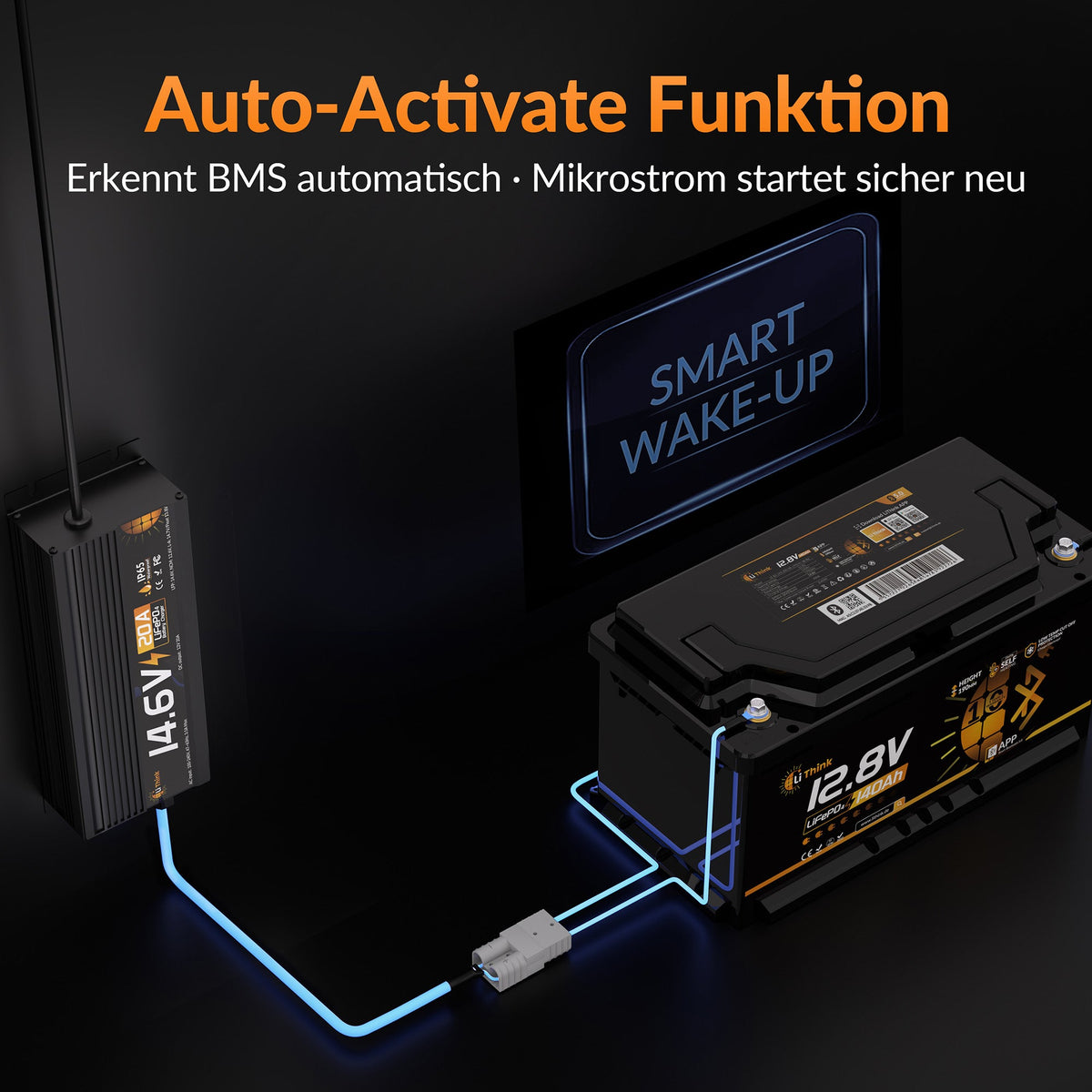 Lithink 14.6V 20A Waterdichte snellader – voor LiFePO₄, NCM en loodaccu's